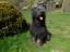 DSCN0072