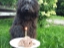 IMG-20160806-WA0004